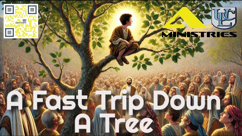 A Fast Trip Down A Tree Image