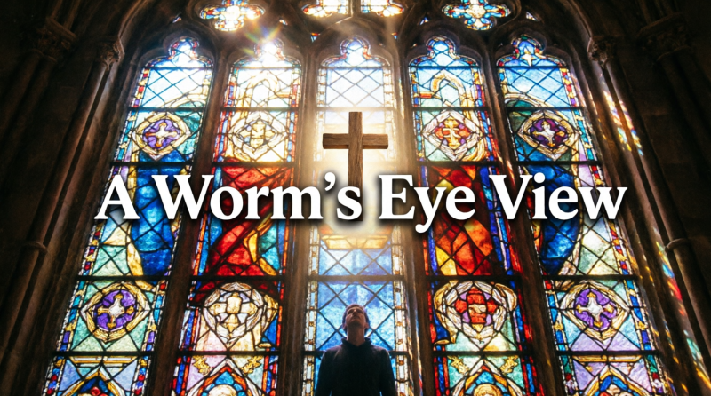 A Worms Eye View Image